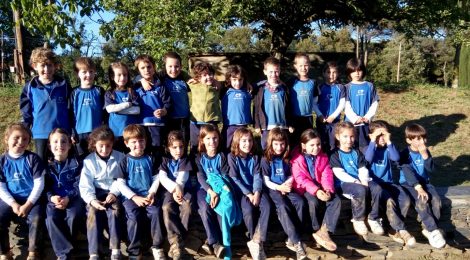 Colònies a Educació Infantil