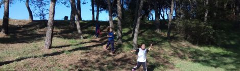 Jornades Esportives