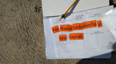 Taller de llengua