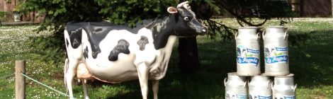 Sortida Cultural organitzada per l'AMPA a la Vall de Bianya