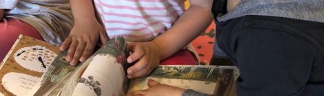 P4 ha anat a conèixer la biblioteca