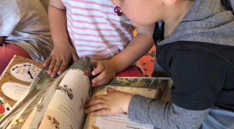 P4 ha anat a conèixer la biblioteca
