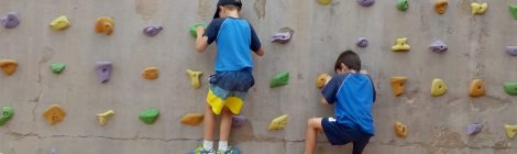 Excursió de 1r, 3r i 5è de Primària a Aira Natura