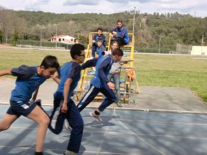 Olimpíades del Crèdit de síntesi 2015 – 2016