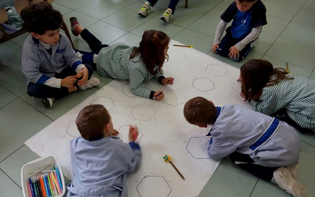 Els ocells coneixen l’hexàgon
