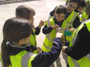 IMG_20170322_100718