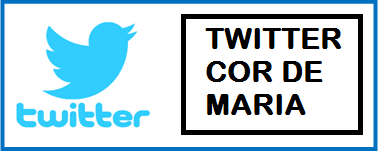 Seguiu-nos a Twitter