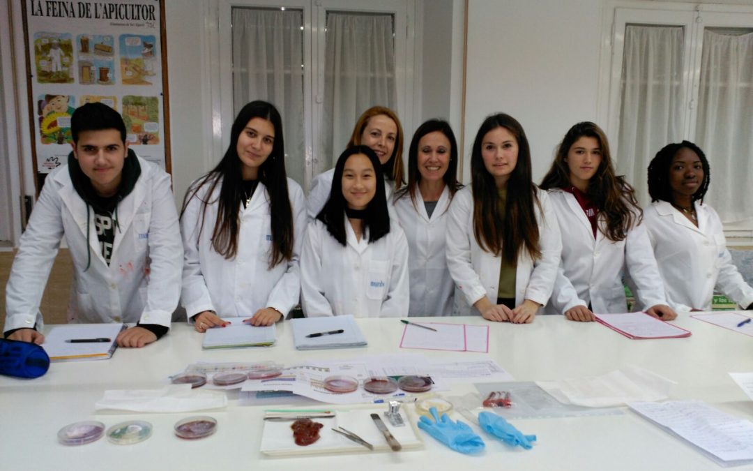 Taller de microbiologia