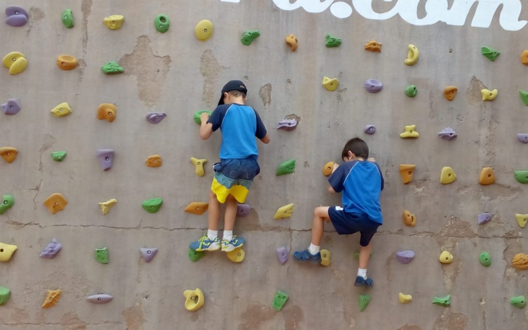 Excursió de 1r, 3r i 5è de Primària a Aira Natura